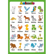 Animals- İngilizce Hayvanlar Poster Animals- İngilizce Hayvanlar Poster