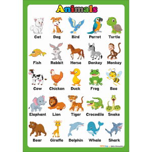 Animals- İngilizce Hayvanlar Poster Animals- İngilizce Hayvanlar Poster