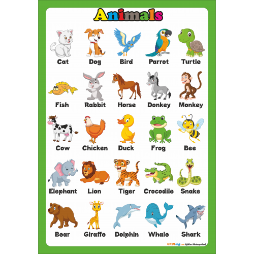 Animals- İngilizce Hayvanlar Poster Animals- İngilizce Hayvanlar Poster