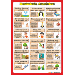 Resimlerle Atasözleri Poster