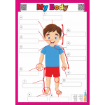 Parts of the Body - Vücut Bölümleri Yaz Sil