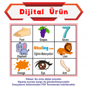 Dijital Ürün -İngilizce Tombala - İlkokul 2. Sınıf