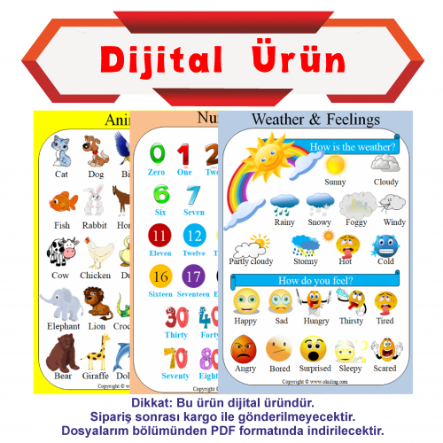 Dijital Ürün - İlkokul İngilizce Poster Seti 1 - A3