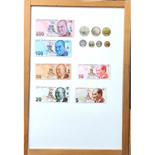 Manyetik Kağıt ve Madeni Paralar
